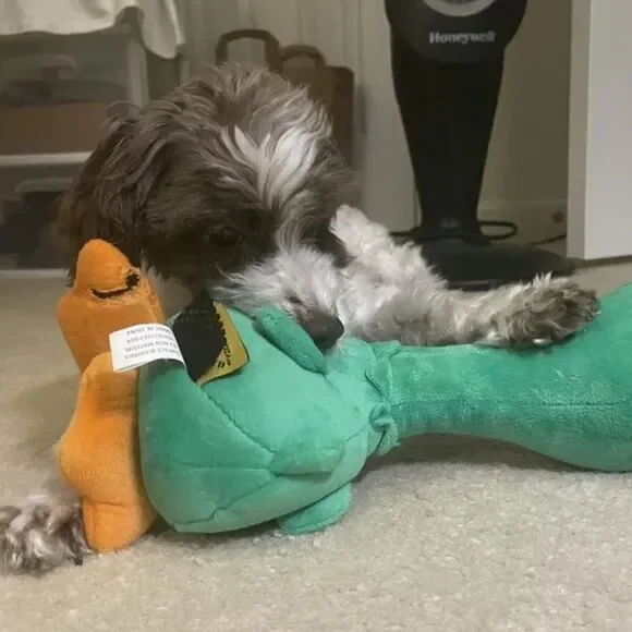 TrustyPup Green Plush Long Neck Duck Dog Toy - Picture 8 of 16